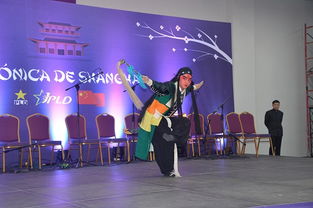 加勒比海奏华韵 中多建交谱新篇――附属戏曲学校师生艺术团赴多米尼加文化交流活动策划